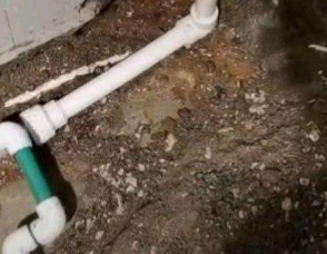 省直辖卫生间测漏水服务电话